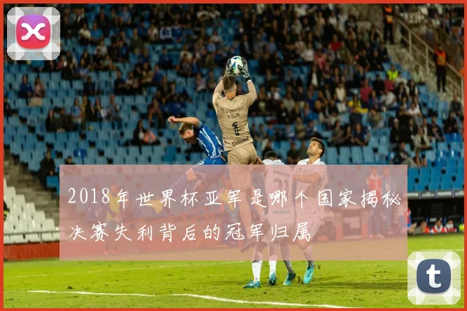2018年世界杯亚军是哪个国家揭秘决赛失利背后的冠军归属